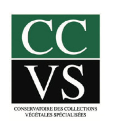 CCVS - partenaires