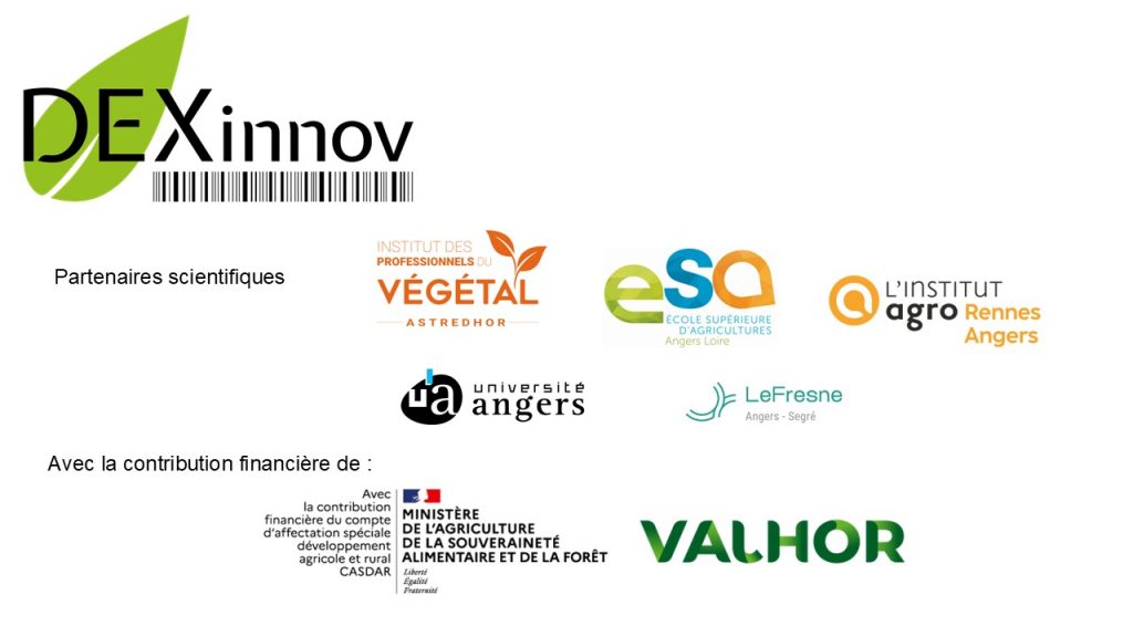 Partenaires DEXINNOV (1)