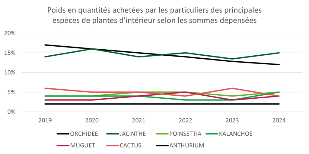 Graphique quantités plantes d'intérieur