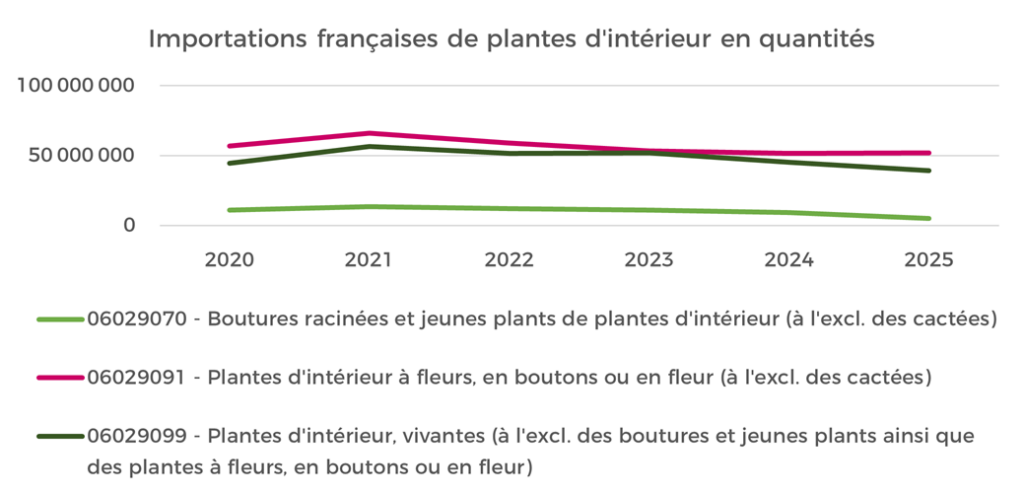 Importations Plantes intérieur QA