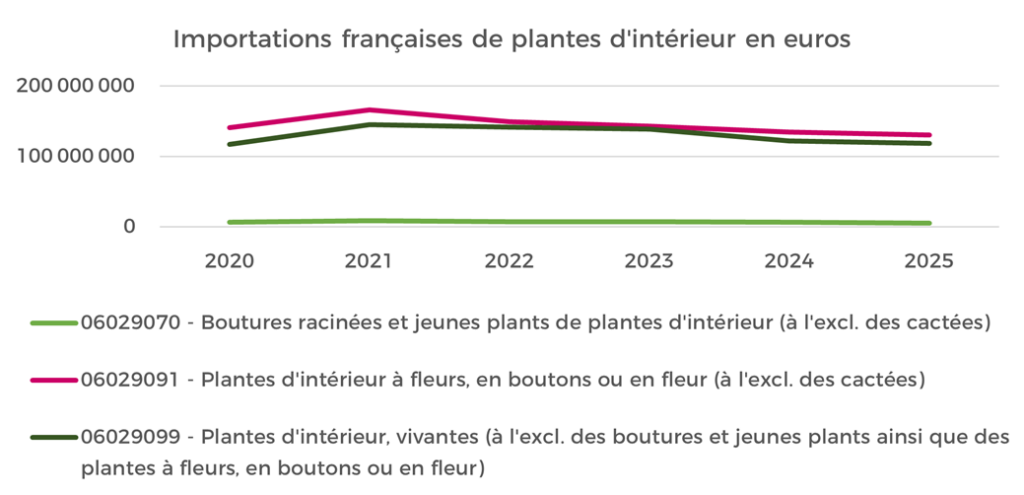 Importations Plantes intérieur SD