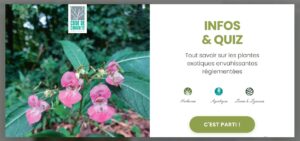 Info & Quiz PEE